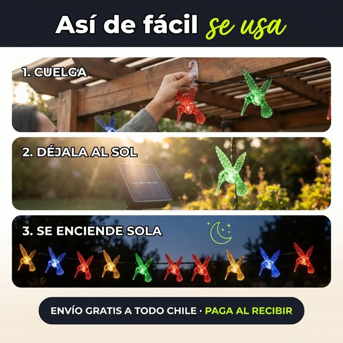 Eco